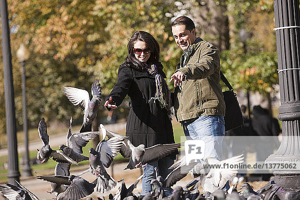 Couple feeding pigeons