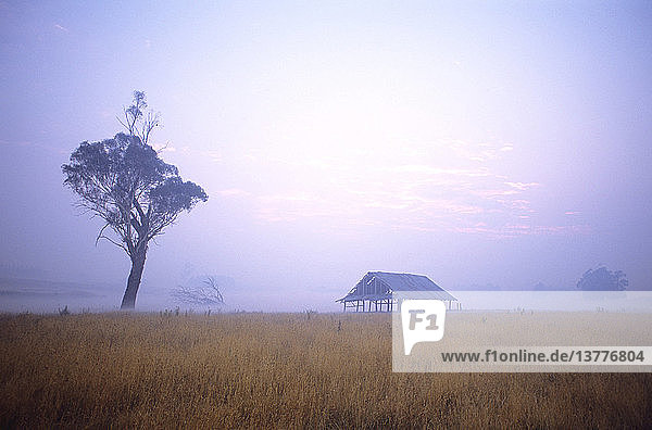 Verlassene Gerberei im Nebel auf einem Feld in der Nähe von Bowral  Region Southern Highlands  New South Wales  Australien