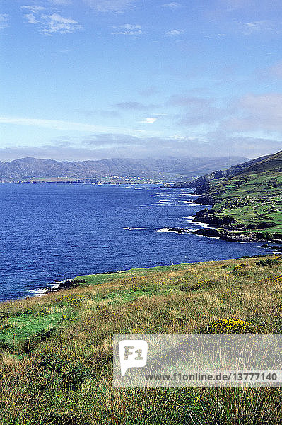 Küstenlandschaft und Streusiedlung Dursey Head  Halbinsel Beara  Grafschaft Cork  Irland