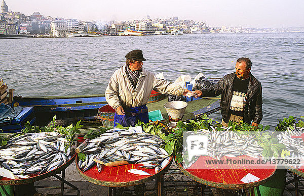 Fischverkäufer  Bosporusstraße Istanbul  Türkei