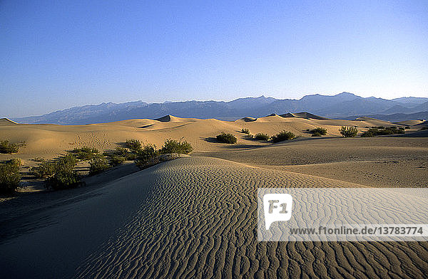 Sand dunes at Stovepipe Wells  Death Valley national park  California  USA