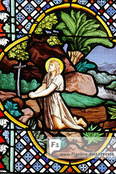 Kathedrale Saint-Corentin  Quimper Glasmalerei  Johannes der Täufer in der Wüste