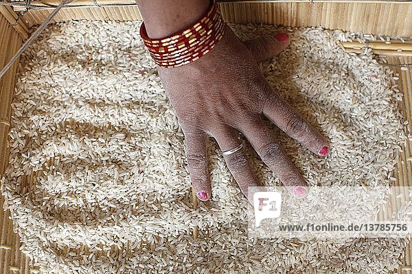 Frau sortiert Reis  Indien