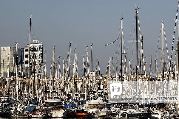 Hafen von Barcelona  Barcelona  Spanien.