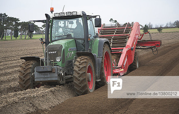 Traktor auf einem Feld  landwirtschaftliche Landschaft  Butley  Suffolk  England