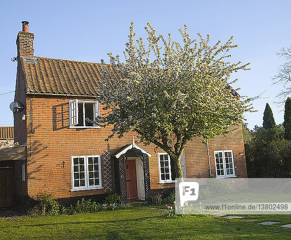 Freigegebenes freistehendes Dorfhaus aus rotem Backstein mit Garten  Suffolk  England