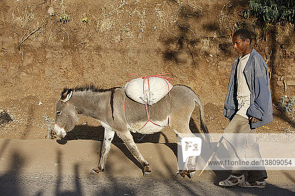 Young man with donkey