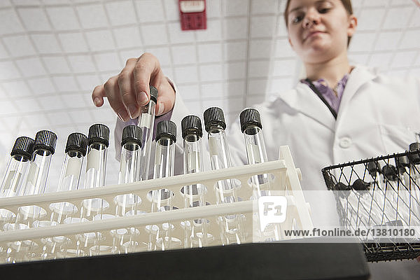 Wissenschaftlerin ordnet Reagenzgläser in einem Gestell im Labor einer Wasseraufbereitungsanlage an