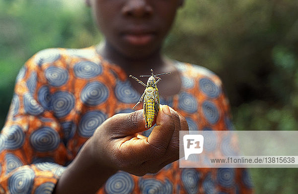Boy showing a locust