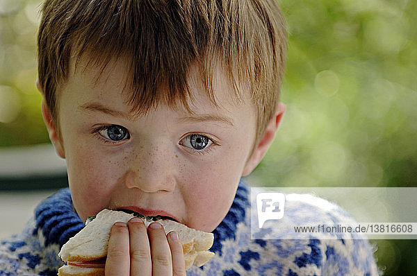 Kleiner Junge isst ein Sandwich  Geelong  Victoria  Australien