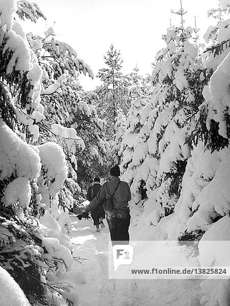 Vereinigte Staaten: ca. 1959. Ein Paar spaziert an einem sonnigen Wintertag auf einem verschneiten Waldweg.