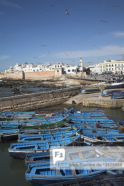 Kleine blaue Fischerboote dicht gedrängt im Hafen mit weißen Medinamauern im Hintergrund  Essaouira  Marokko