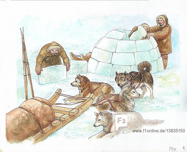 Im Winter bauen die Inuit Häuser aus Stein und decken sie dann mit Torf ab. Obwohl Iglu ein Inuit-Wort für jede Art von Haus ist  ist es als ein Haus aus Schnee bekannt geworden. Die Inuit bauen diese Schneehäuser als vorübergehende Unterkünfte  wenn sie im Winter unterwegs sind. Sie schneiden Blöcke aus hartem Schnee und ordnen sie in einem Kreis an. Darauf werden weitere Blöcke gelegt  die spiralförmig aufsteigen und eine Kuppel bilden.