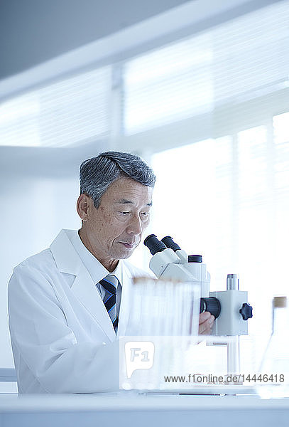 Senior Japanese researcher in the lab