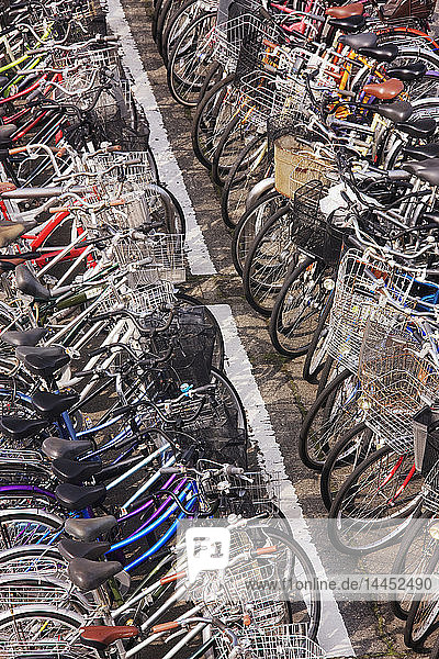 Reihen geparkter Fahrräder