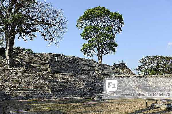 Maya-Ruinen von Copan  Honduras  Mittelamerika.