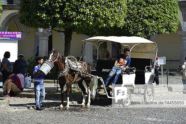 Caleche (horse-drawn carriage) in Antigua  Guatemala  Central America.