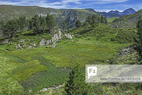 Frankreich  Ariege  Pyrenäen  Landschaft in der Nähe des Ruhle-Gipfels