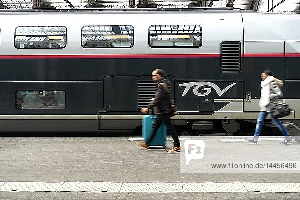 Der TGV (Hochgeschwindigkeitszug)  der von der SNCF betrieben wird. Gare de Lyon. Paris. Frankreich.
