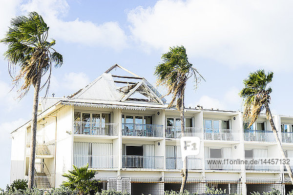 Hotel und Palmen zerstört nach dem Hurrikan Irma  September 2107  St-Marteen  Frankreich