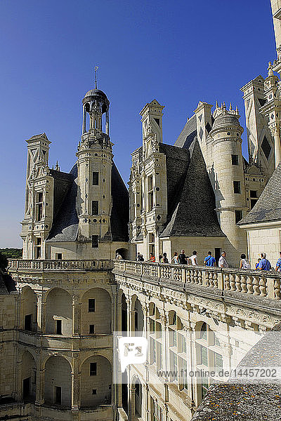 Europa  Frankreich  Centre-Val de la Loire  Loir-et-Cher ( 41 )  Loiretal  Weltkulturerbe der UNESCO  Nationale Domäne des Schlosses von Chambord  Schloss