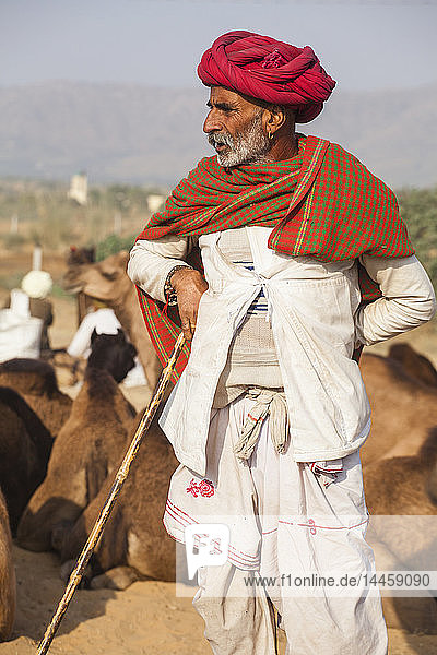 Pushkar Camel Fair  Pushkar  Rajasthan  India