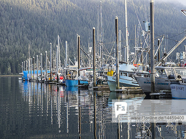 View of the commercial fishing fleet docked in the harbour at Petersburg  Southeast Alaska  USA
