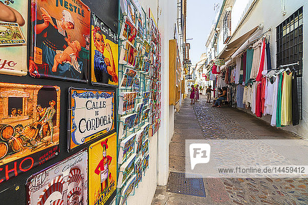 Bunte Keramik und Geschäfte in den Gassen der Altstadt  Cordoba  Andalusien  Spanien