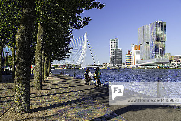 People cycling along Nieuwe Maas River  Rotterdam  Zuid Holland  Netherlands
