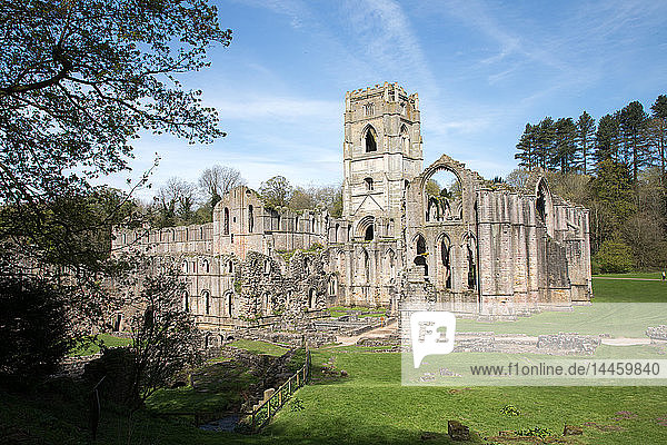 Rievaulx Abbey  North Yorkshire  Yorkshire  England