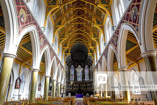 Nave  St. Peter's Catholic Cathedral  Belfast  Ulster  Northern Ireland  United Kingdom