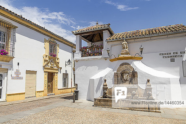 Kleiner Platz (Plaza de la Fuenseca) im Stadtteil San Pablo  Córdoba  Andalusien  Spanien