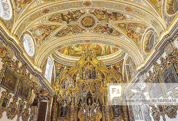 Kapelle im Inneren der Kirche San Luis de los Franceses  Sevilla  Andalusien  Spanien