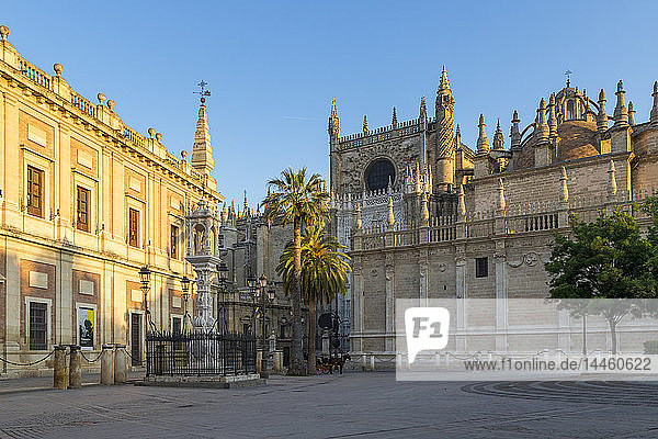 Kathedrale von Sevilla und Archivo de Indias  UNESCO-Weltkulturerbe  von der Plaza del Triunfo aus gesehen bei Sonnenaufgang  Sevilla  Andalusien  Spanien