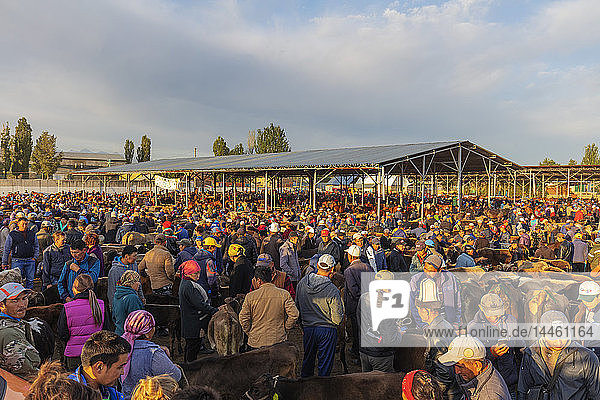 Sonntags-Tiermarkt  Karakol  Kirgisistan  Zentralasien