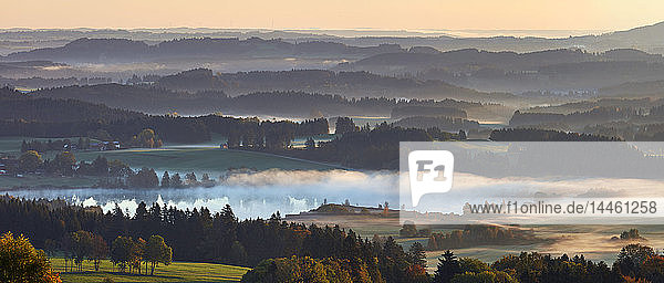Morgendlicher Herbstnebel über dem Hasslocher See im Allgäu  gesehen vom Auerbeg  Bayern  Deutschland