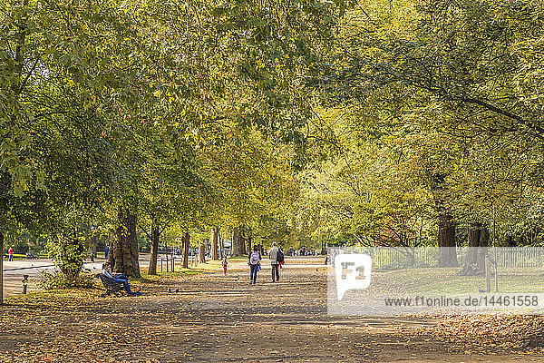 Hyde Park  London  England