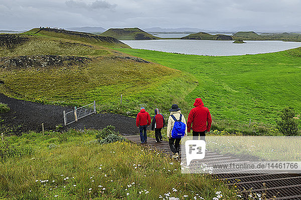 Touristen wandern im Regen zu den Skutustadagigar-Pseudokratern  Wildblumen  Myvatn-See  Akureyri  Island