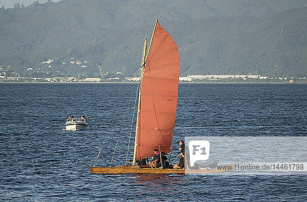 Maori Sailing Waka bei der Waka Odyssey 2018  Wellington Waterfront  Neuseeland  Ozeanien