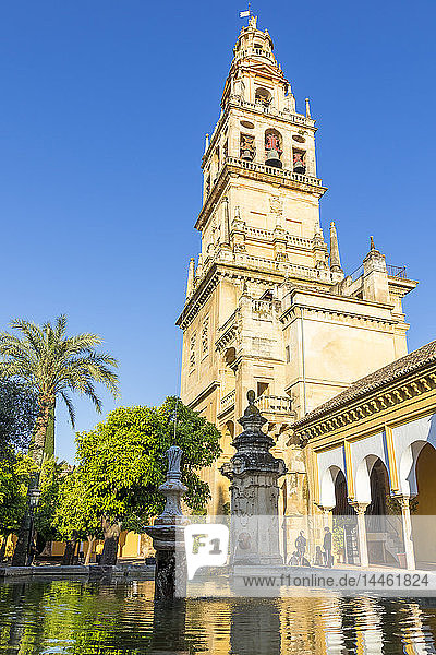 Der Glockenturm der Moschee-Kathedrale (Große Moschee von Cordoba) (Mezquita)  UNESCO-Weltkulturerbe  vom Innenhof aus gesehen  Cordoba  Andalusien  Spanien