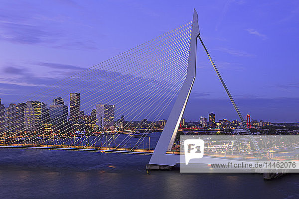 Erasmus Bridge  Rotterdam  Netherlands