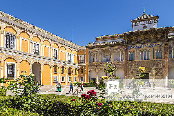 Palacio del Rey Don Pedro in den königlichen Alcazaren  Sevilla  Andalusien  Spanien