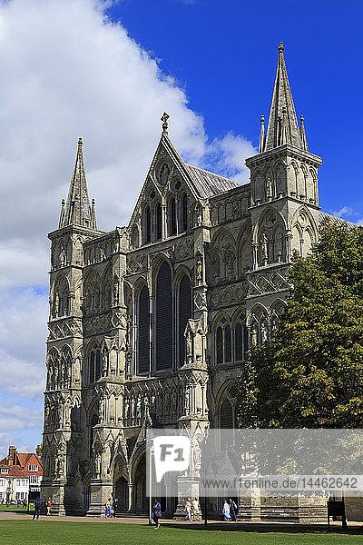 Kathedrale von Salisbury  Wiltshire  England  Vereinigtes Königreich