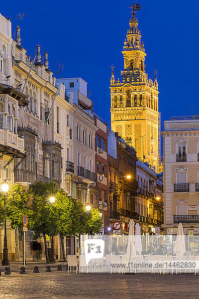 Der Glockenturm Giralda vom San-Francisco-Platz aus gesehen in der Abenddämmerung  Sevilla  Andalusien  Spanien