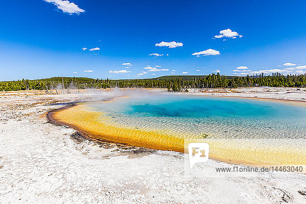 Regenbogengeysir und die surrealen Farben  die die verschiedenen Bakterien in diesen Geysiren erzeugen  Yellowstone National Park  UNESCO Weltkulturerbe  Wyoming  Vereinigte Staaten von Amerika  Nord Amerika