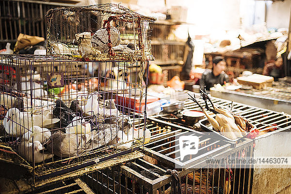 Zhongyi-Markt  Lijiang  Provinz Yunnan  China