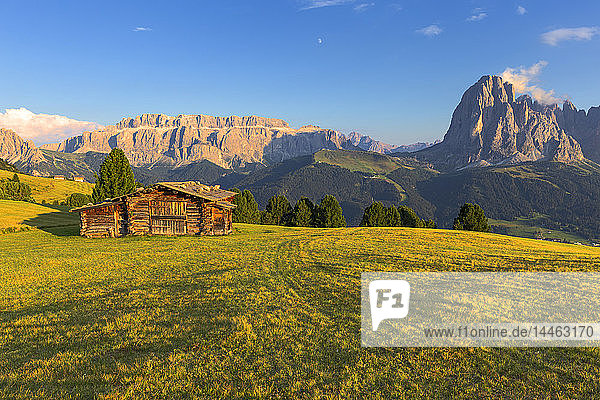 Letzte Sonnenstrahlen auf traditioneller Hütte mit Blick auf Langkofel und Sellagruppe  Grödnertal  Südtirol  Dolomiten  Italien