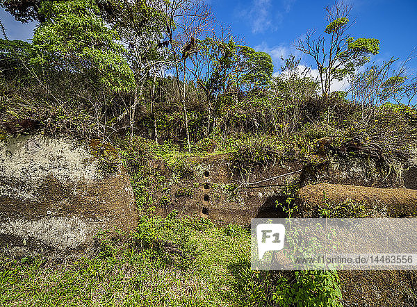 Felsenlabyrinth  Asilo de la Paz  Hochland der Insel Floreana (Charles)  Galapagos  UNESCO-Weltkulturerbe  Ecuador