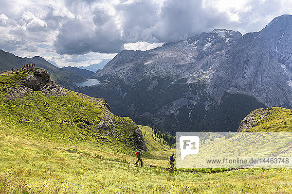 Hikers walk on Viel del Pan Path near Pordoi Pass  Fassa Valley  Trentino  Dolomites  Italy
