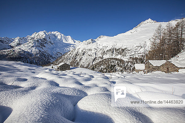 Huts in the snow with Monte Disgrazia on background Alpe dell'Oro Valmalenco Valtellina Sondrio province Lombardy Italy